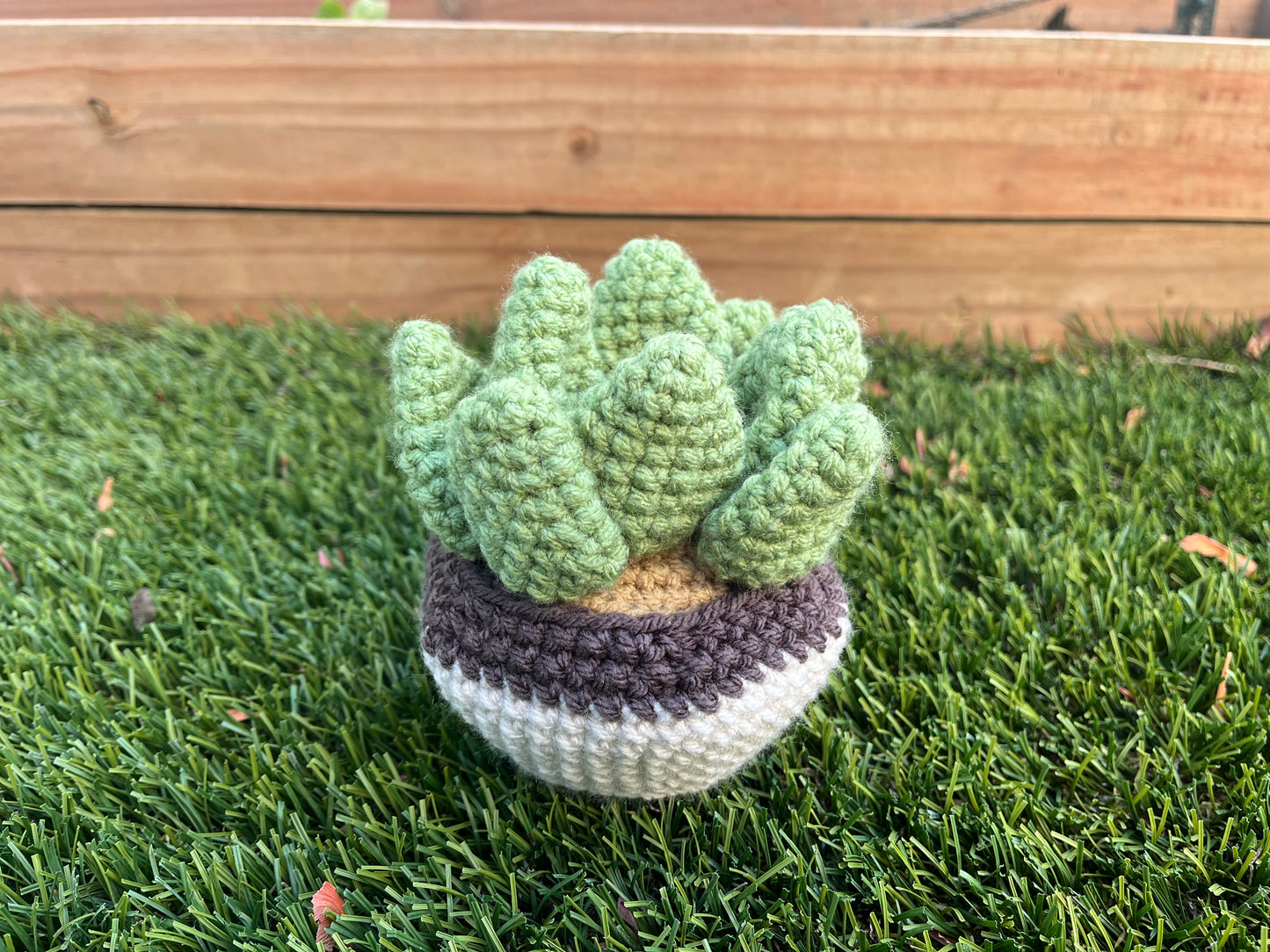 Crochet Succulent Plant
