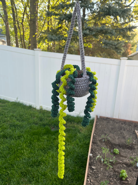 Crochet Hanging Curly Plant