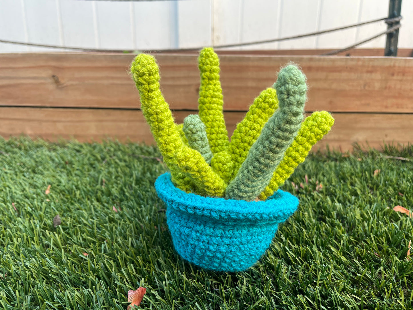 Crochet Aloe Plant