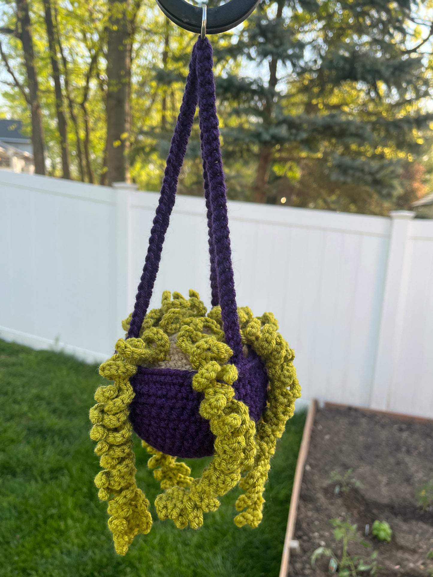 Crochet Hanging Fern