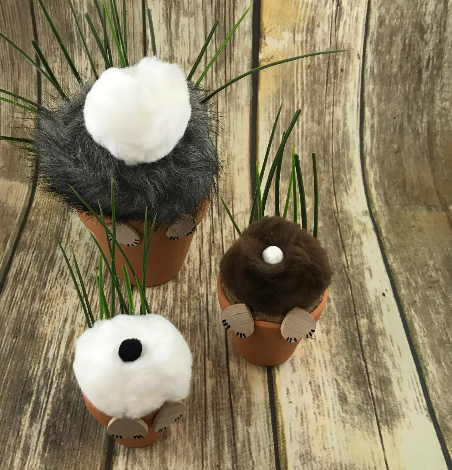 Flower Pot Bunny Bottoms