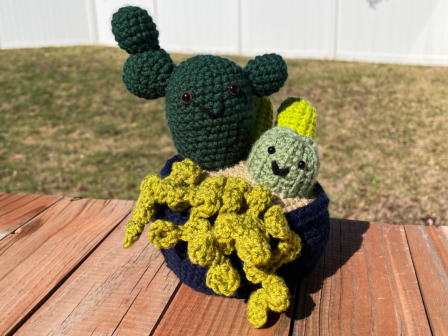 Crochet Amigurumi Succulent Plant Grouping
