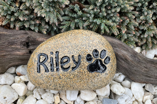 Engraved Personalized Medium Handpainted Pet Name Stone