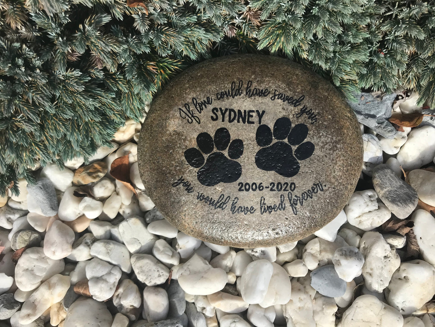 Personalized Medium Pet Memorial Garden Stone - Love Saved You