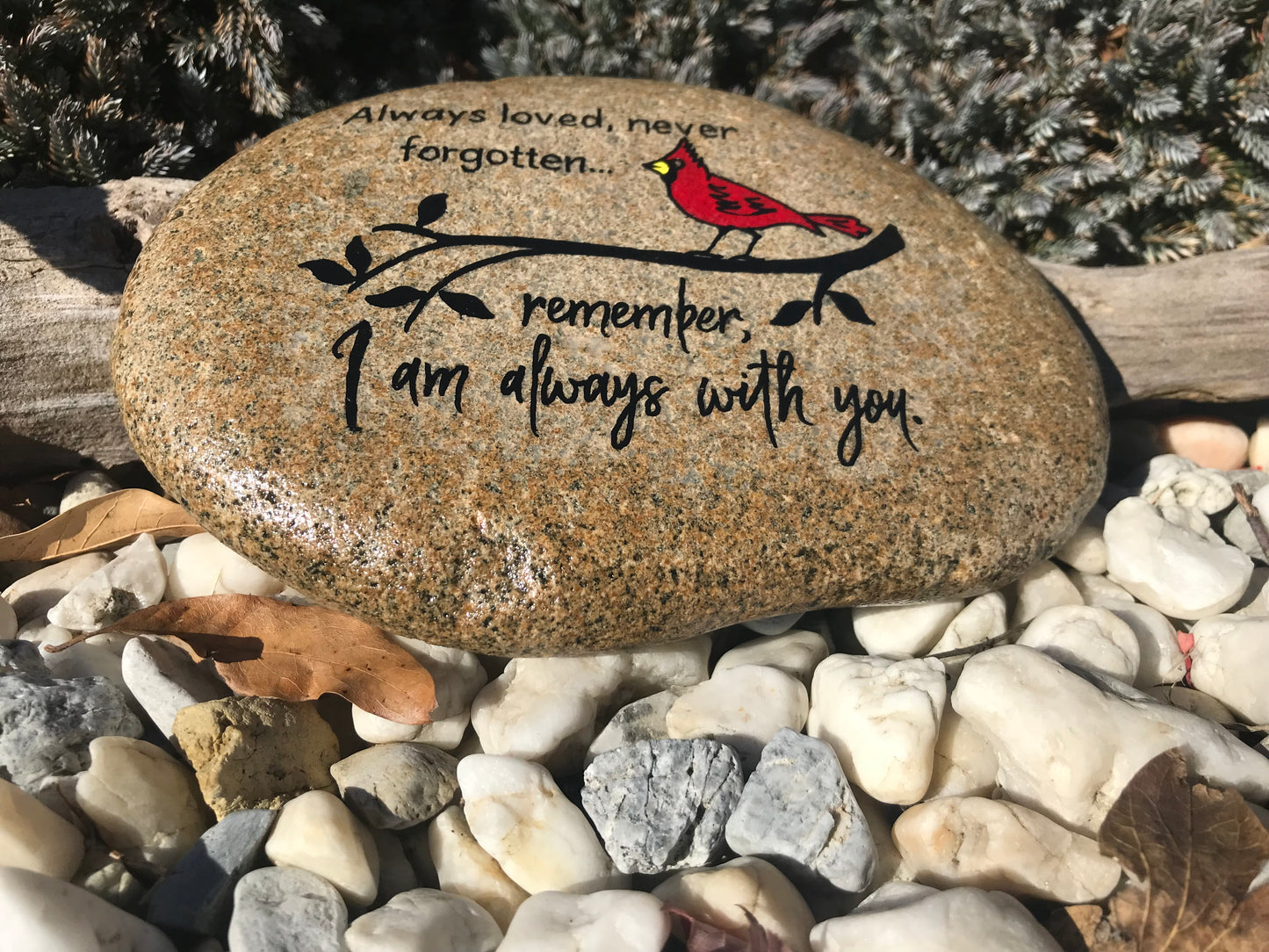 Medium Memorial Stone - Always Loved Cardinal