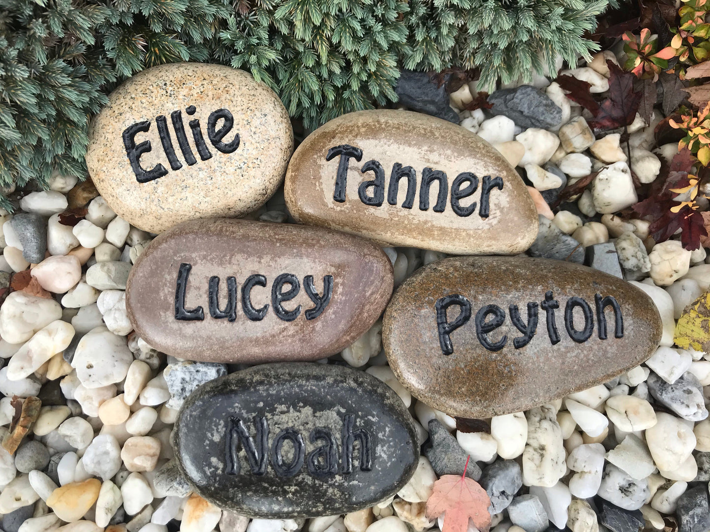 Medium Engraved Stone Name Stone