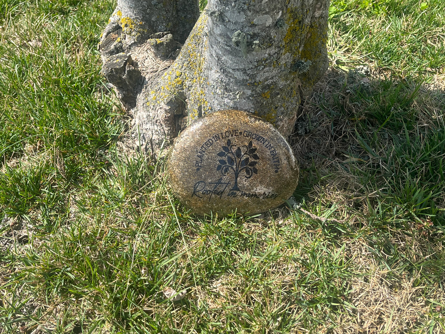 Medium Decorative Garden Stone - Rooted in Memories