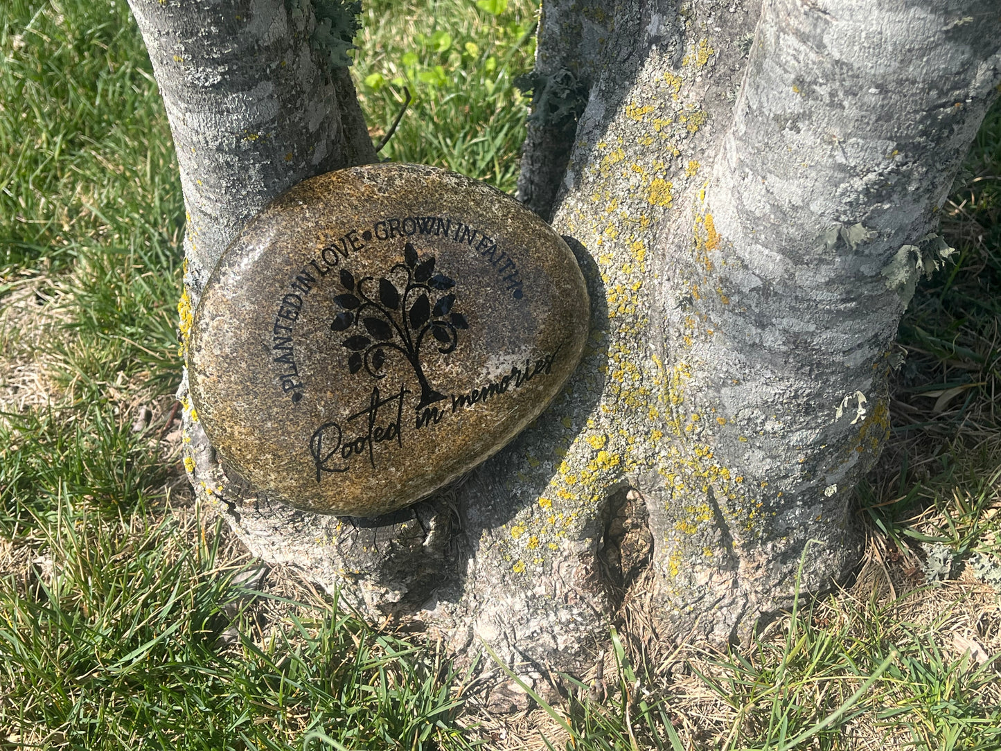 Medium Decorative Garden Stone - Rooted in Memories
