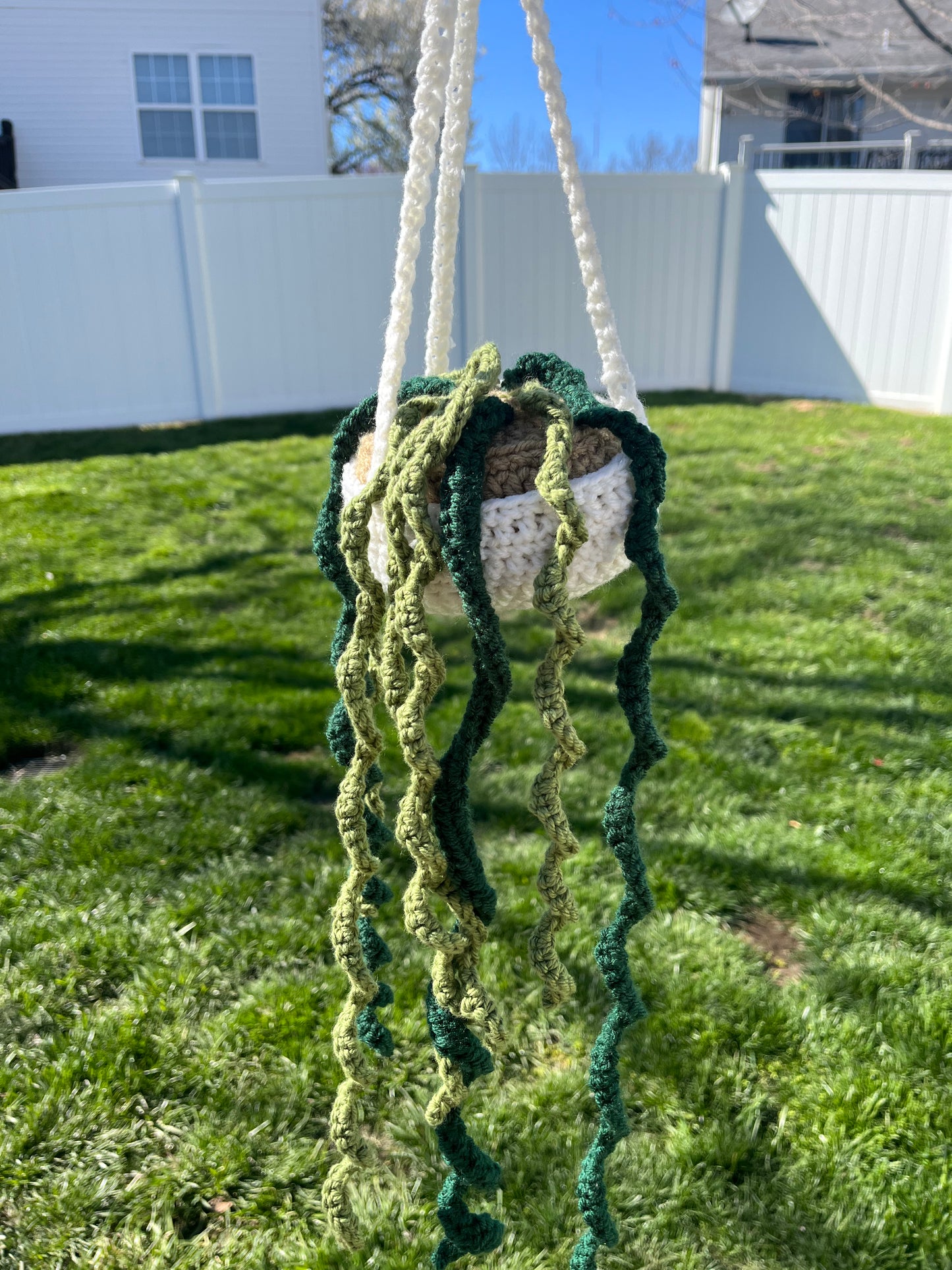 Crochet Hanging Curly Plant