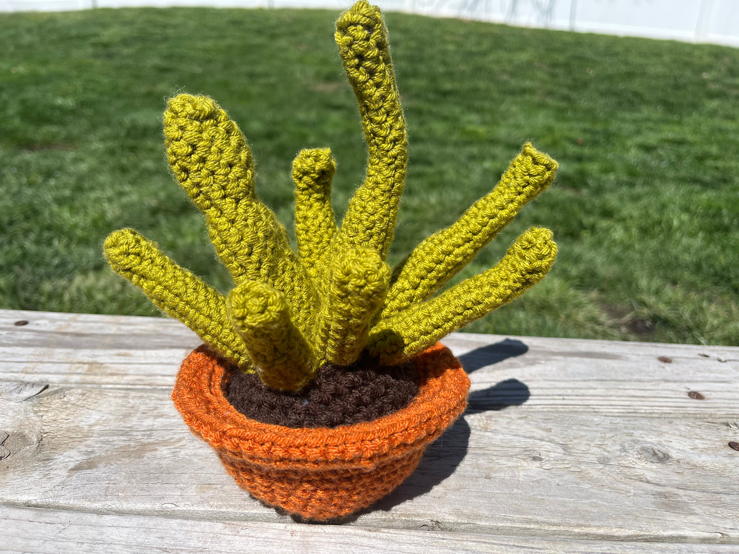 Crochet Aloe Plant